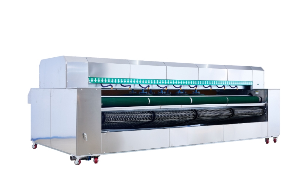 Équipement professionnel de dépoussiérage et de lavage de tapis (disques à 8 brosses)